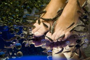 fish pedicure